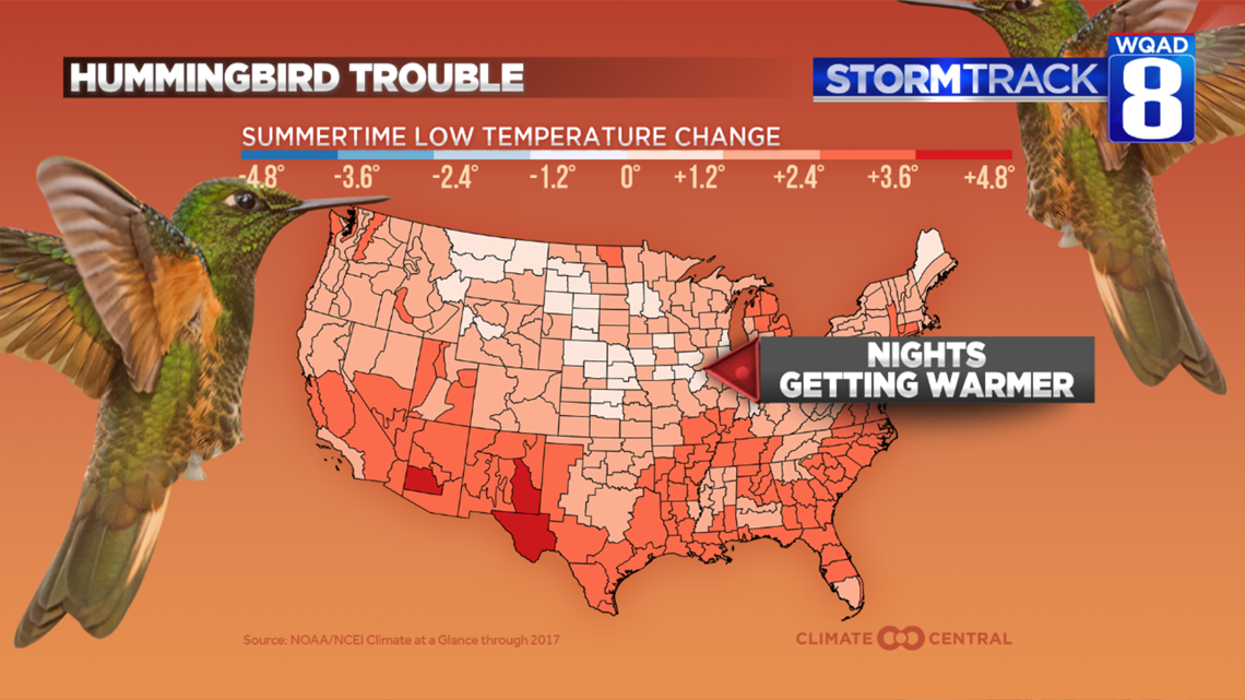 Climate change threatens hummingbirds | wqad.com