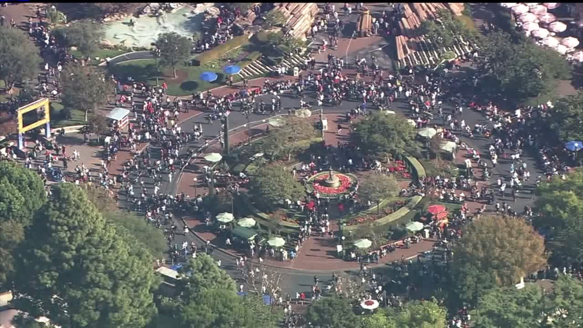 Charges Filed over Disney Viral Fight