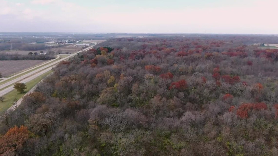 Rock Island County Forest Preserve Wants Your Help Giving Its New Park ...