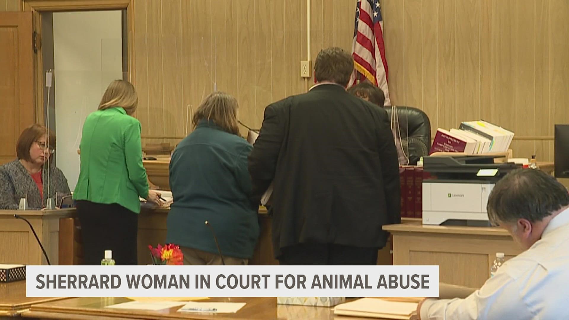 A preliminary hearing for Karen Plambeck, who was found with nearly 200 dogs in poor condition in August, determined there was enough evidence to bring her to trial.