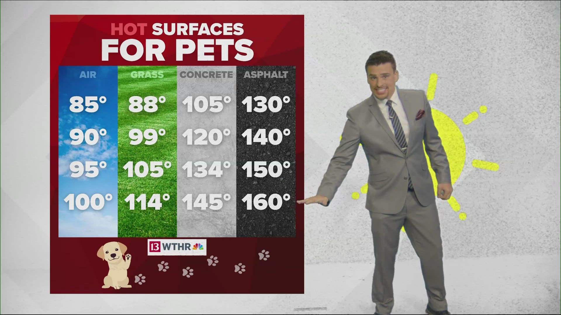 While the air is hot and humid, the ground is way hotter, especially concrete and asphalt. Make sure the ground is cool enough before walking your dog.