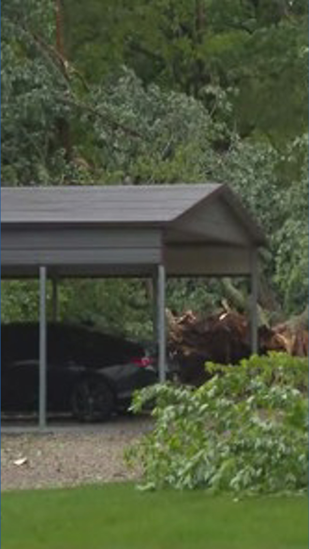 Tree falls into house, widespread damage reported in central Indiana ...