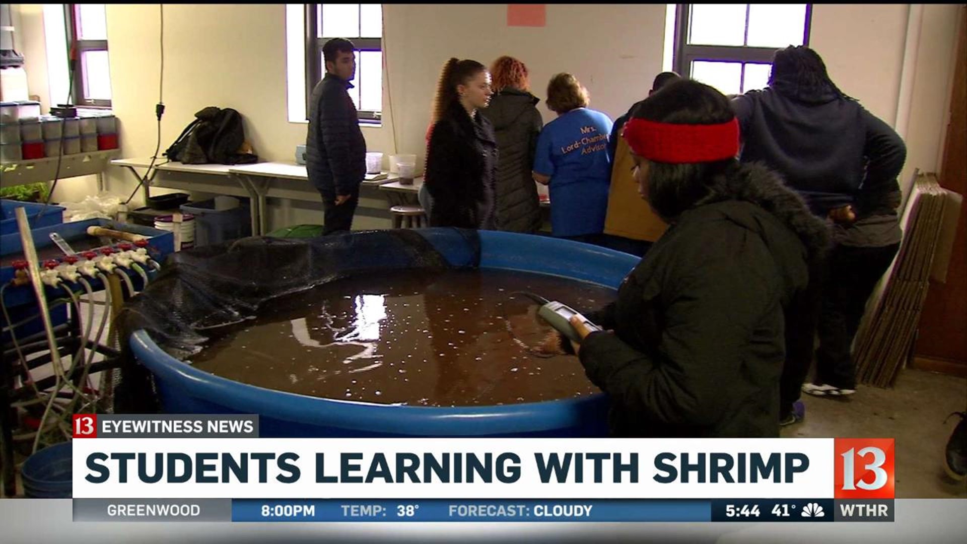 Studens learning with shrimp