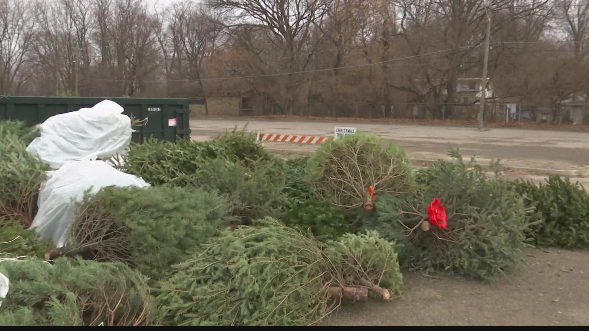 Marion County residents can drop off their live trees at eight drop-off points in public parks throughout Indianapolis.