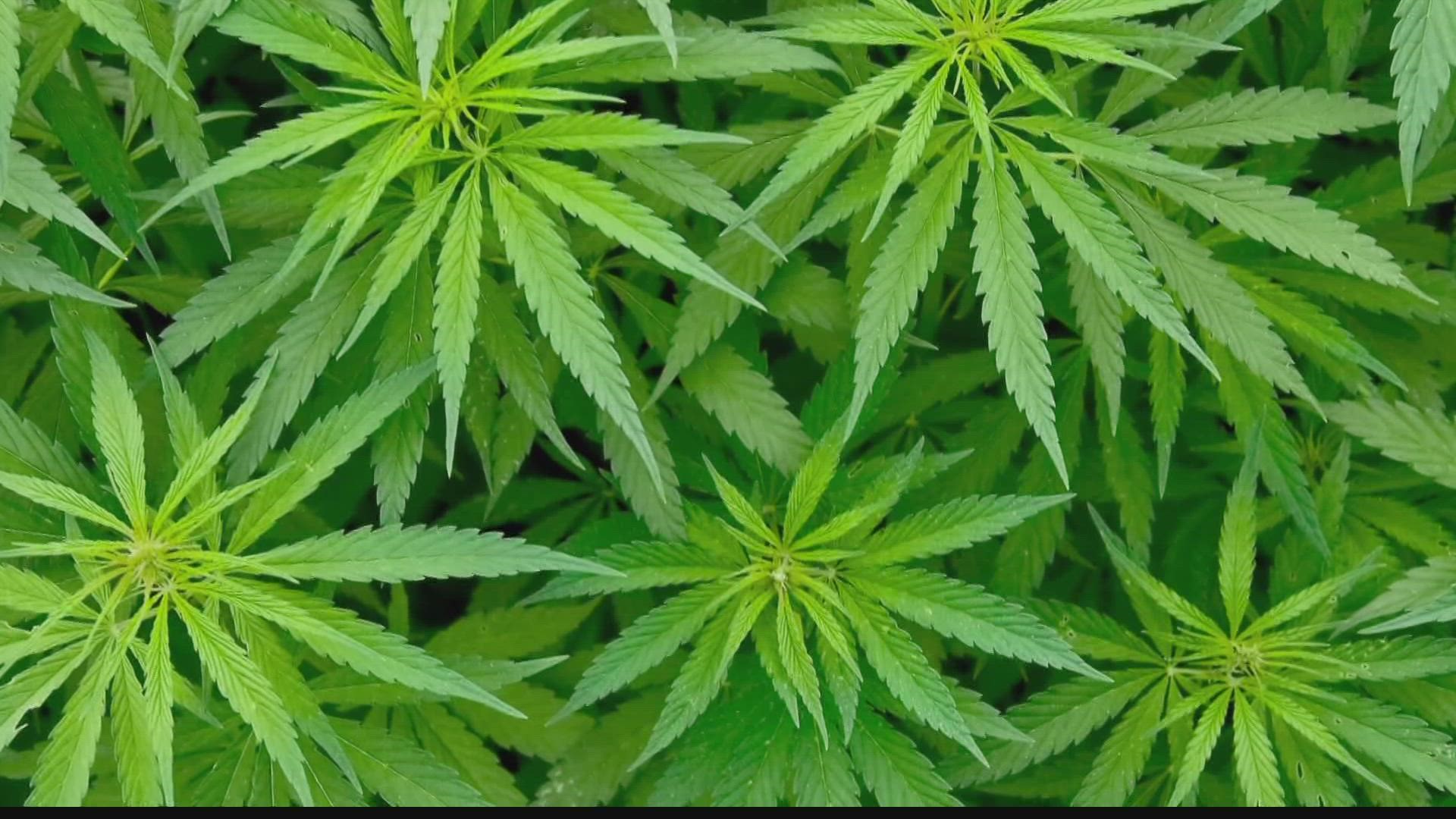 Democrats pushing to legalize marijuana in Indiana 