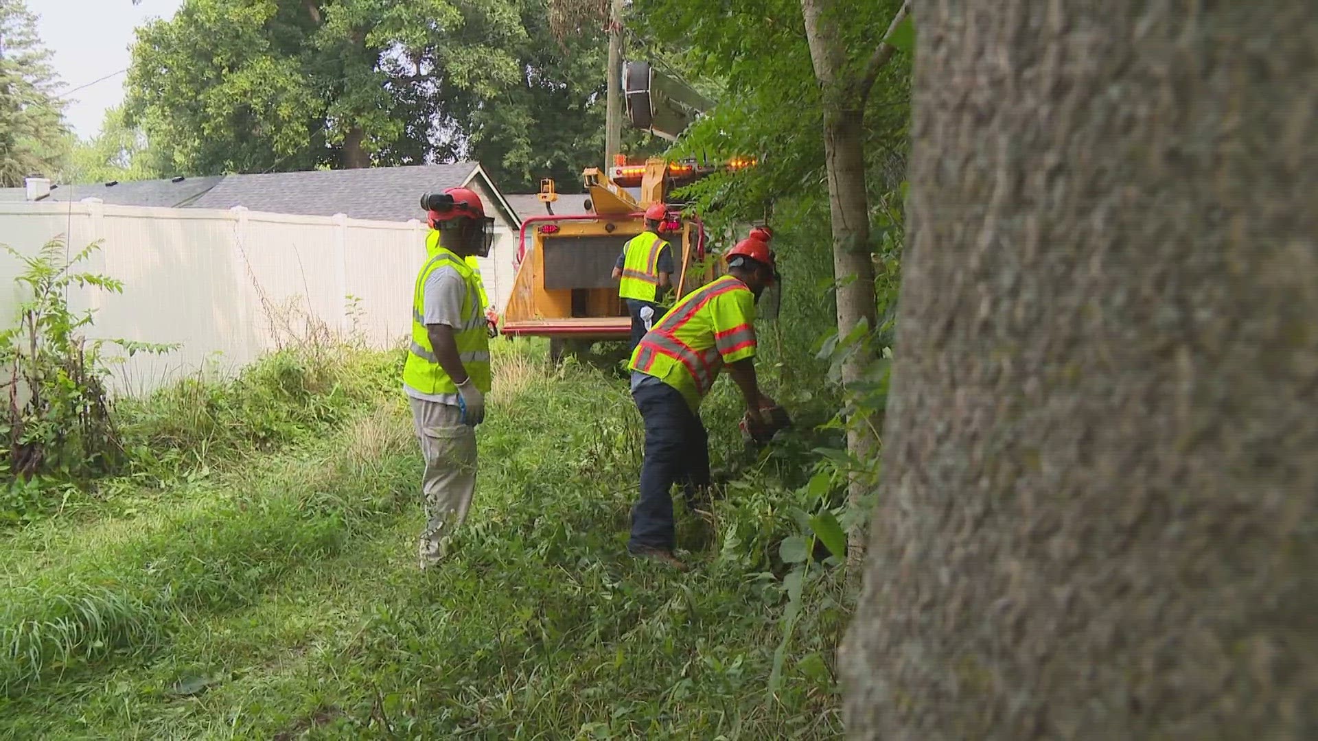 It's days like today that make you think about construction crews, first responders and many others like this forestry team with DPW, working to get the job done.