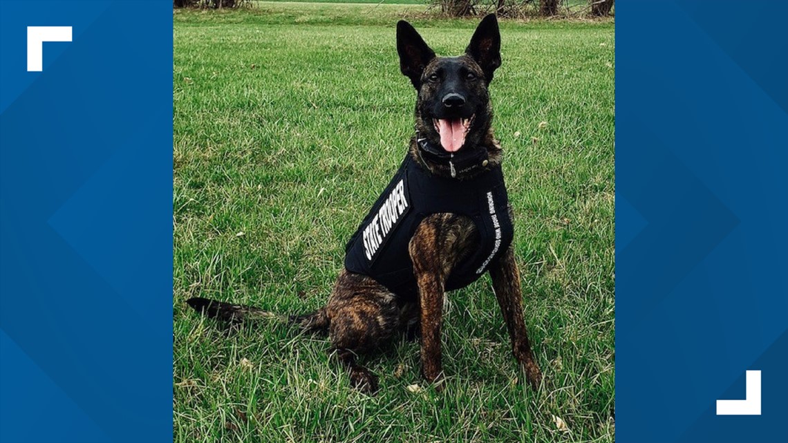 Isp K 9 Receives Body Armor Donation