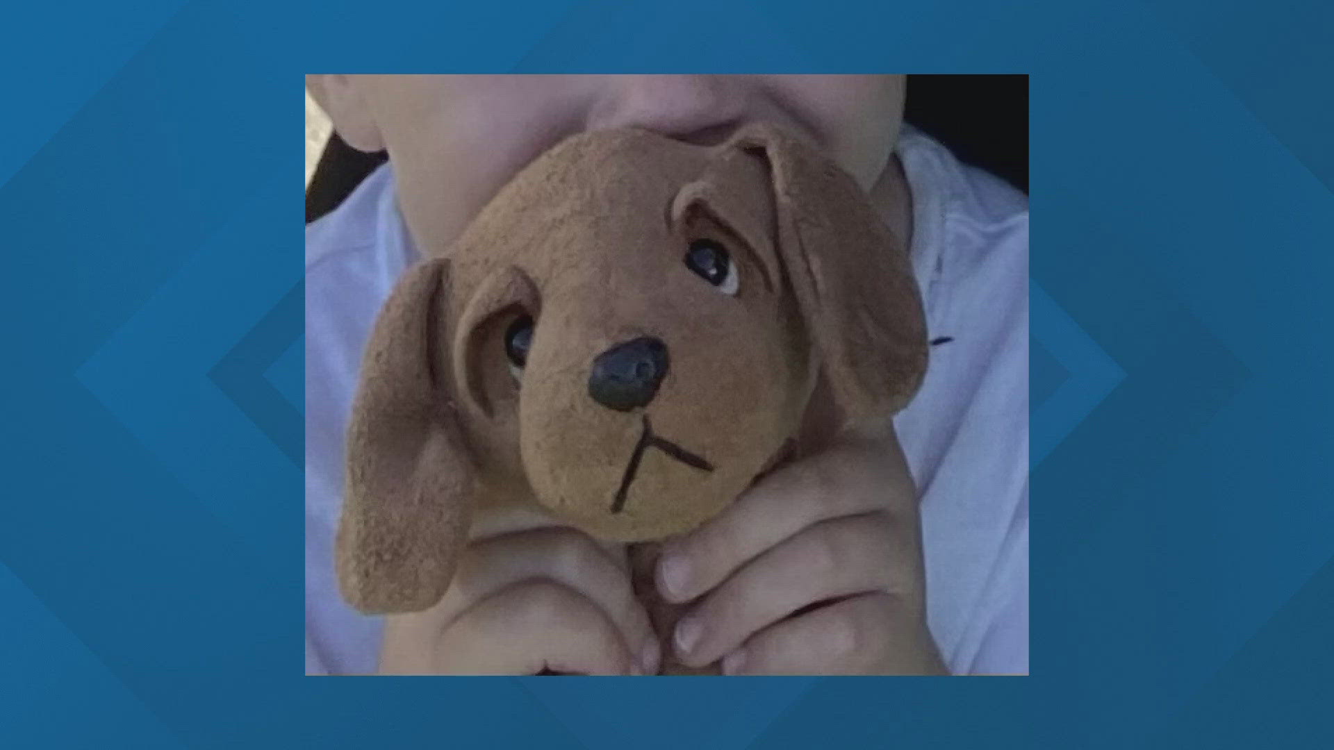 Noah drew this picture so people can keep an eye out for his stuffie, appropriately named "Brown Dog." He last had it on Sunday at Anderson Orchard in Mooresville.