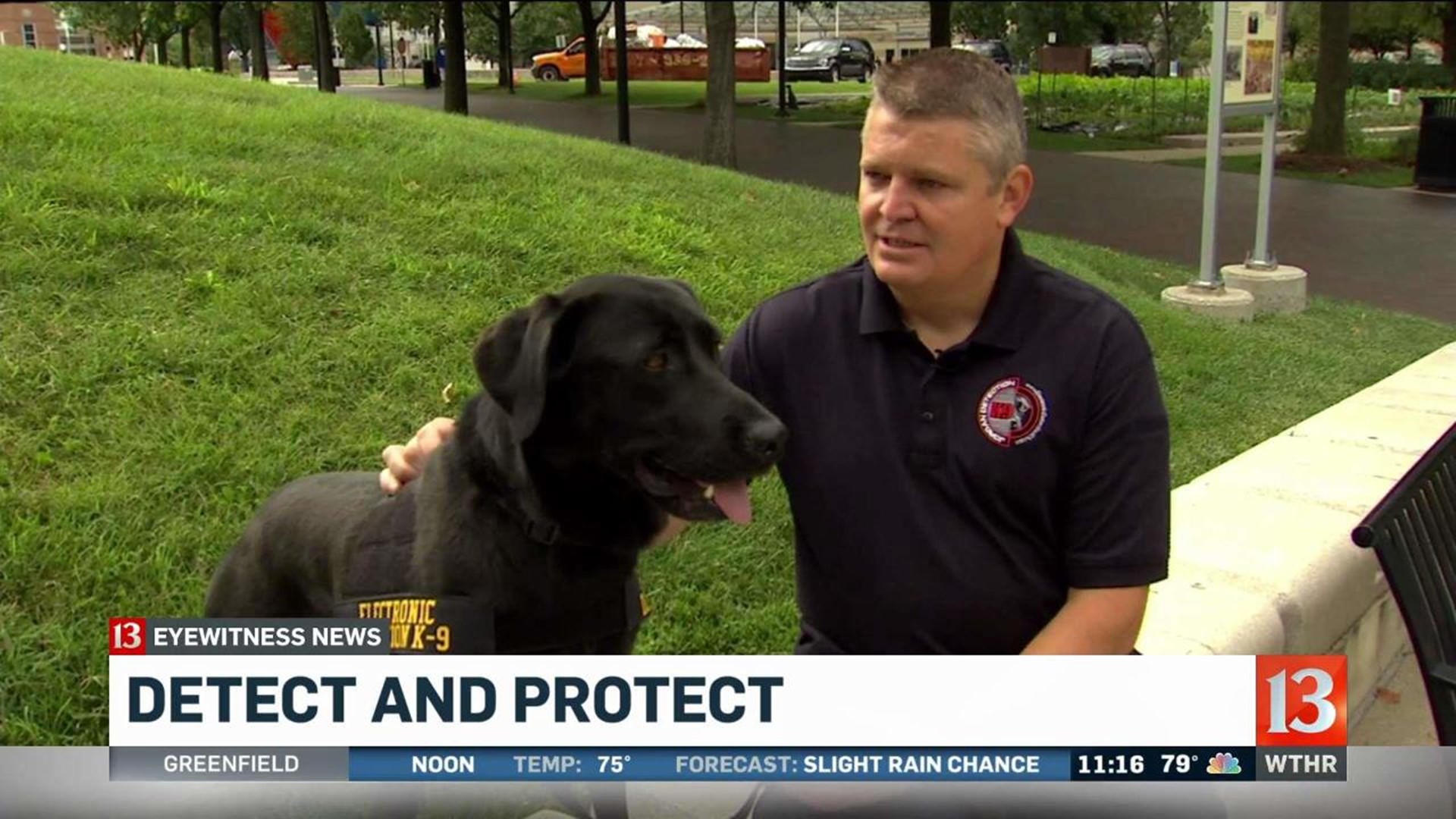 Dogs trained to detect and protect