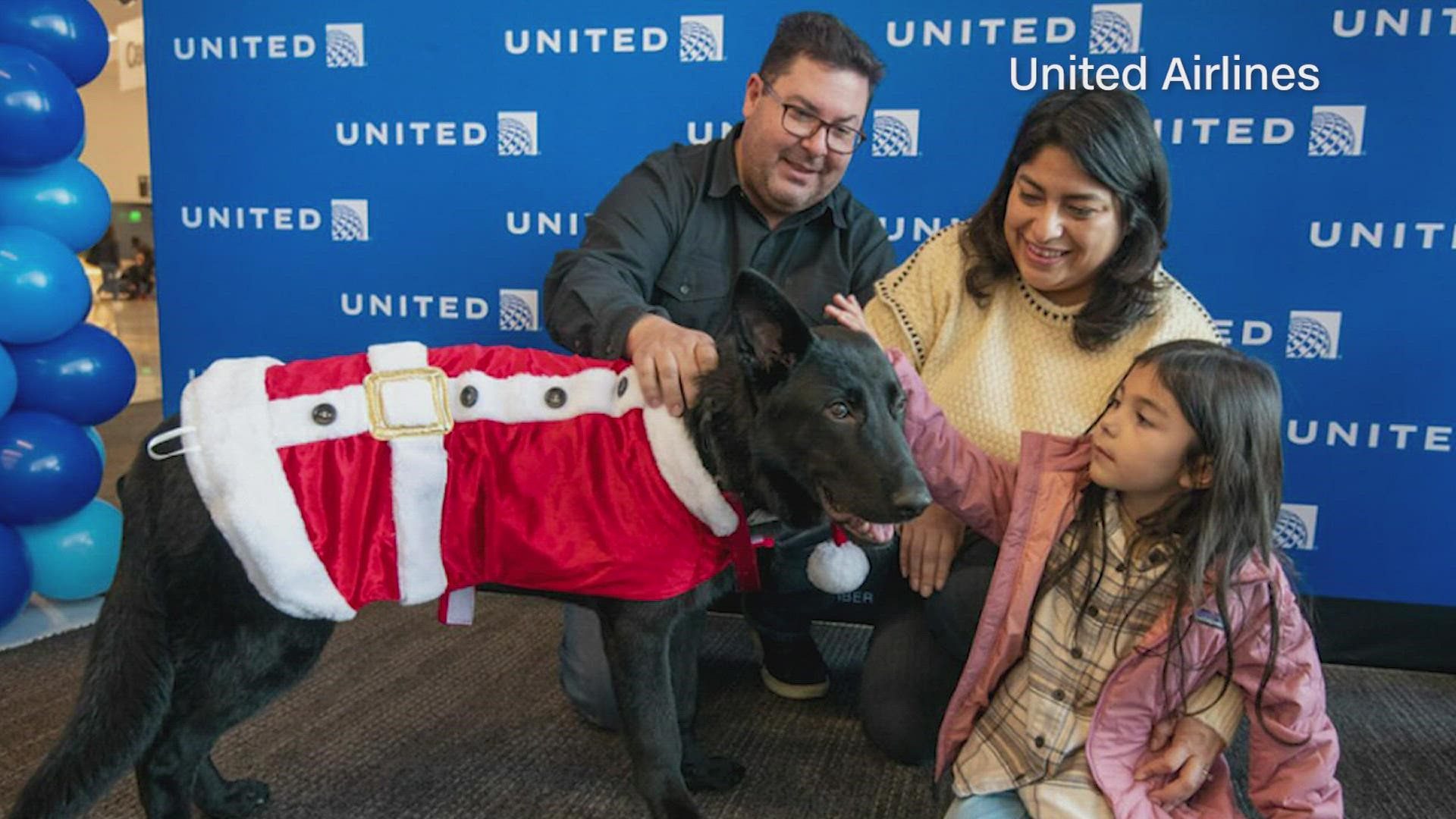 The dog, named Polaris, was left at the San Francisco Airport by an international traveler who decided to continue traveling without it.