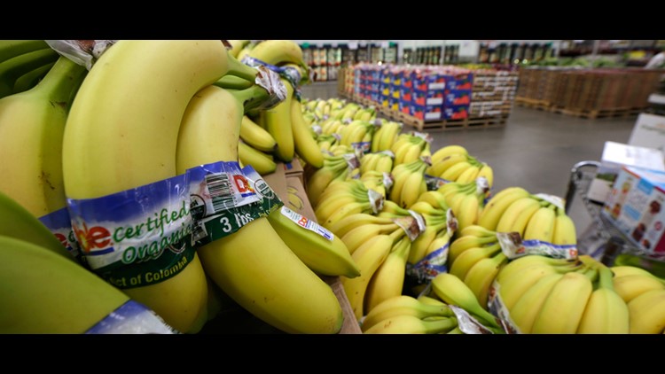 Banana industry on alert after disease arrives in Colombia 