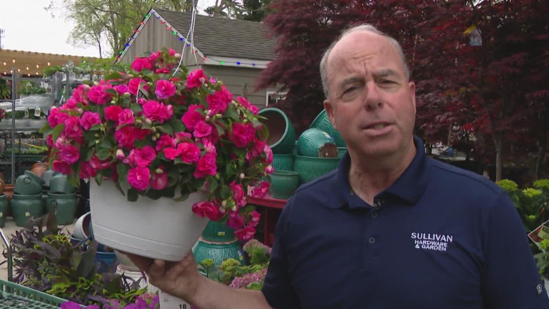 Pat Sullivan recommends hanging baskets as a great Mother's Day gift.