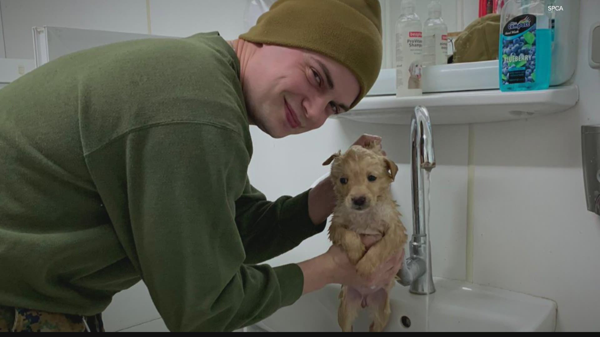 Brandon Carroll spent his last day of deployment with a puppy he cared for outside the compound. They reunited in Indianapolis a few months later.