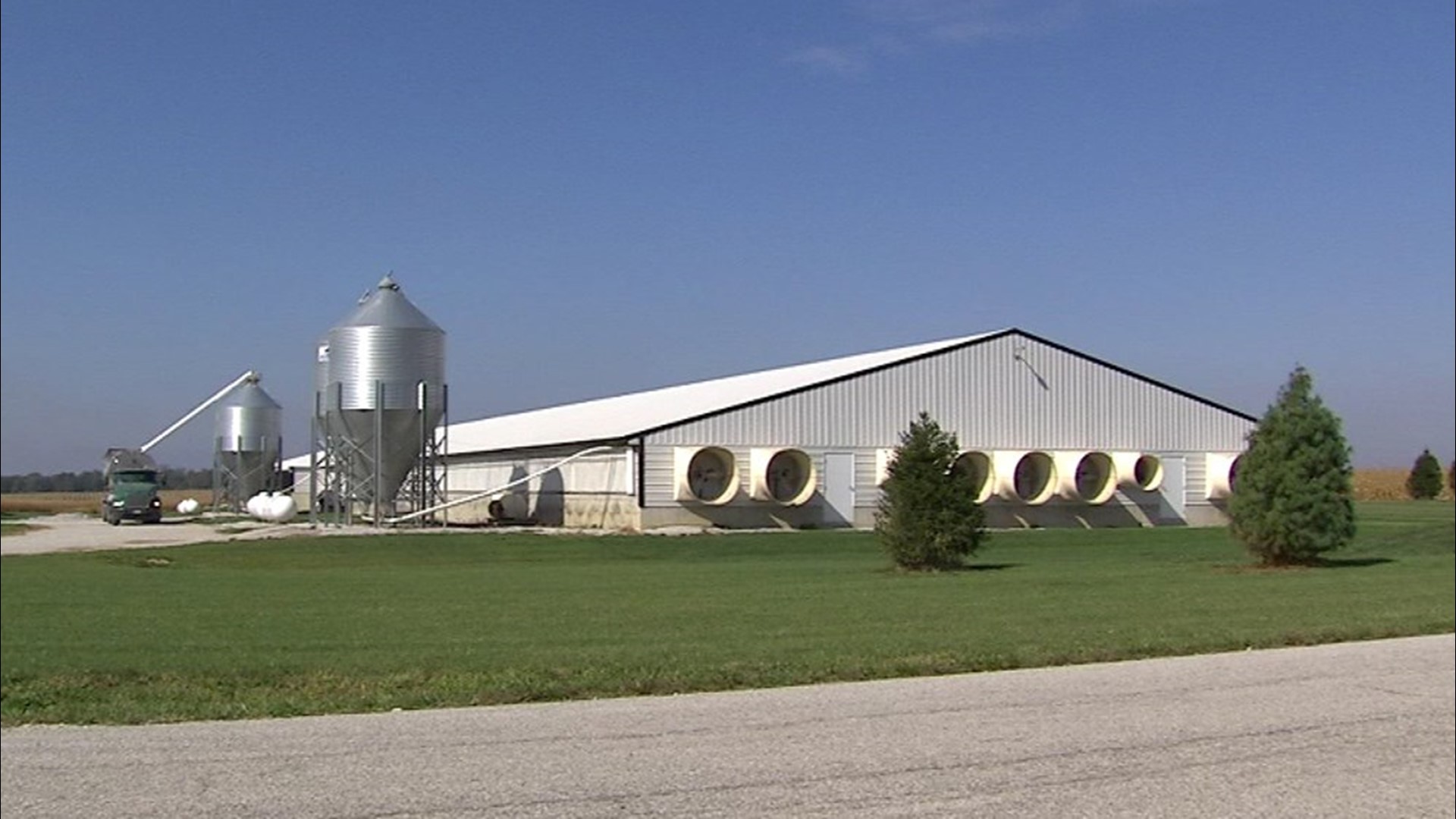 Hendricks County farmer fights large hog facility