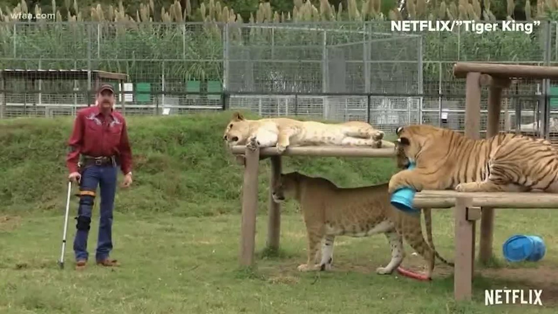 Photographer remembers 'creepy' visit to the 'Tiger King' zoo