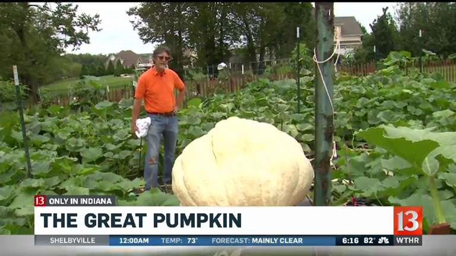Only in Indiana  The Great Pumpkin