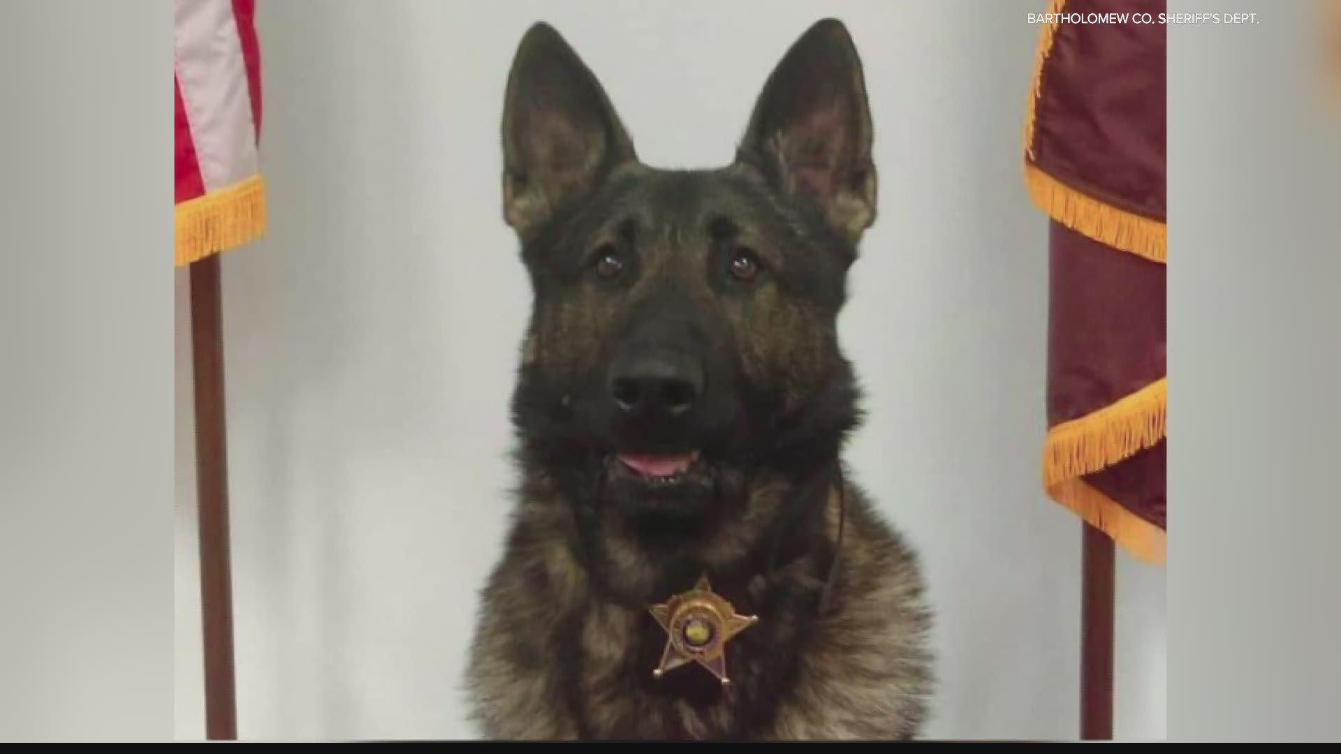 Diesel's handler's police vehicle will be parked in front of the sheriff's office as a memorial to the K-9 deputy for those that wish to pay their respects.