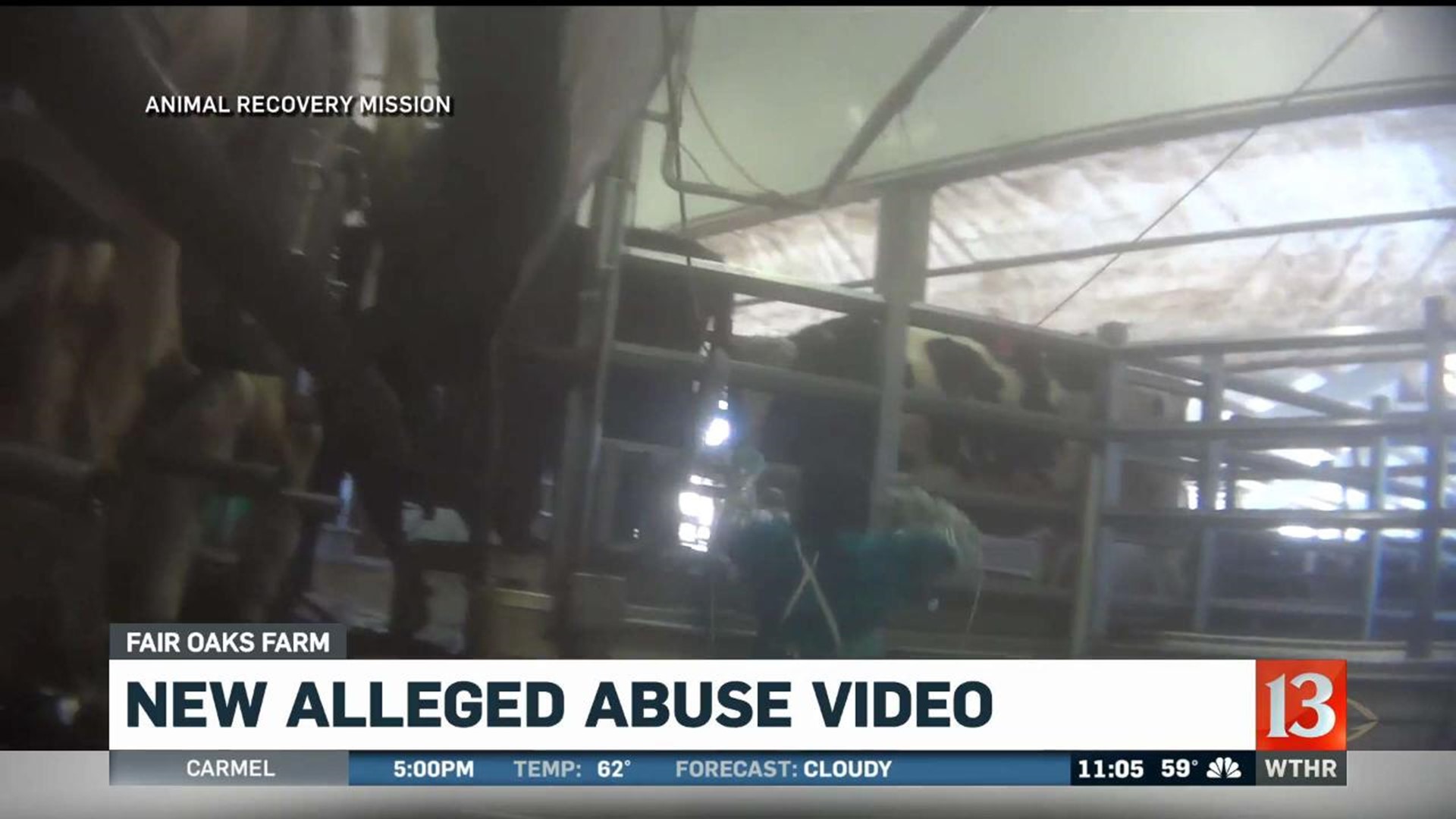 New Abuse Video Released at Fair Oaks Farm