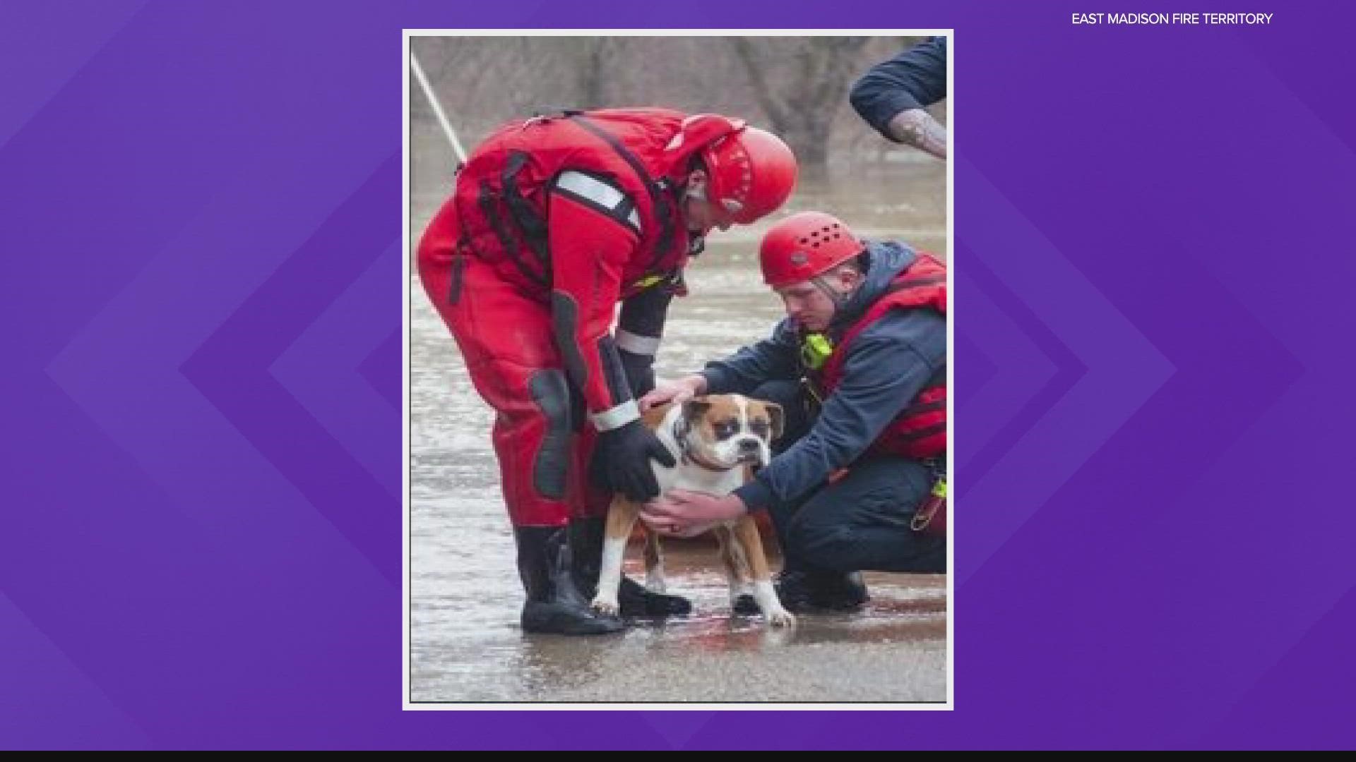 Firefighters helped make the rescue, and shared images of it on social media.