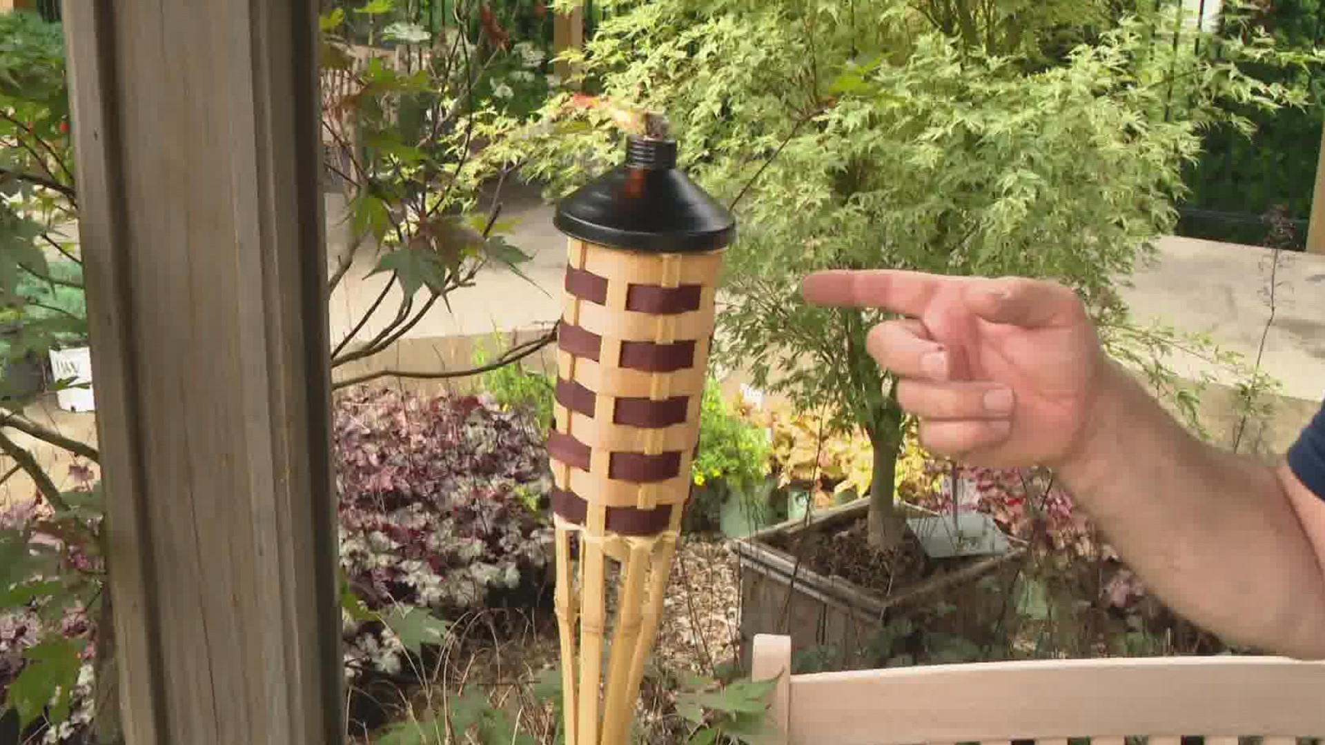 Mosquitoes are going to start showing up after this week's rain, so Pat Sullivan shares some tricks to keep them away from your outdoor areas.