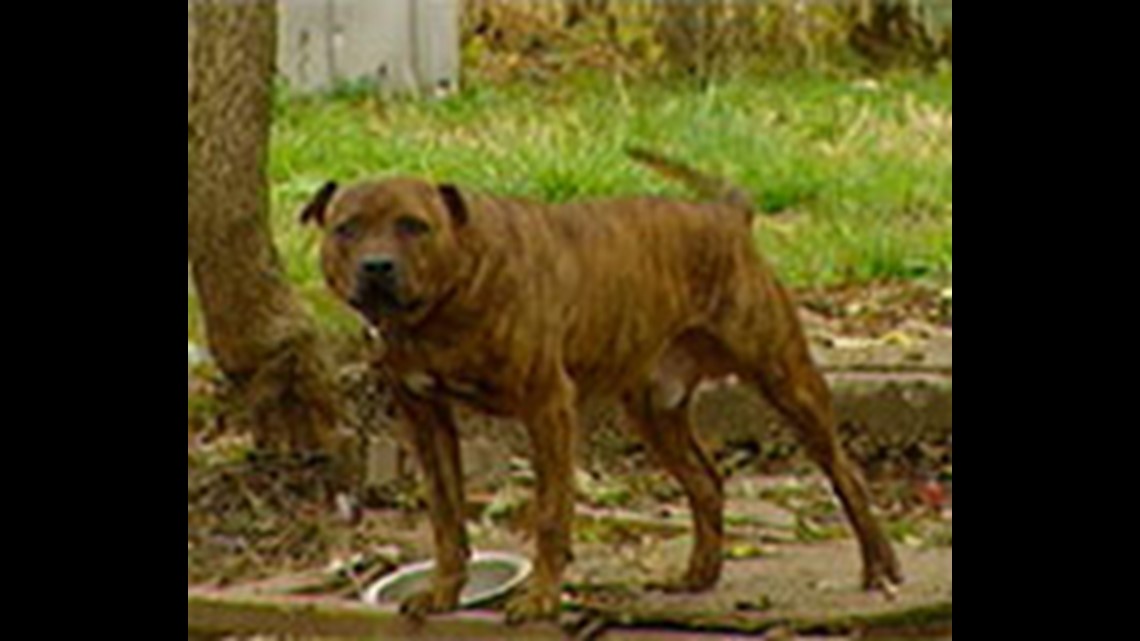 Howard County passes law against dangerous dogs