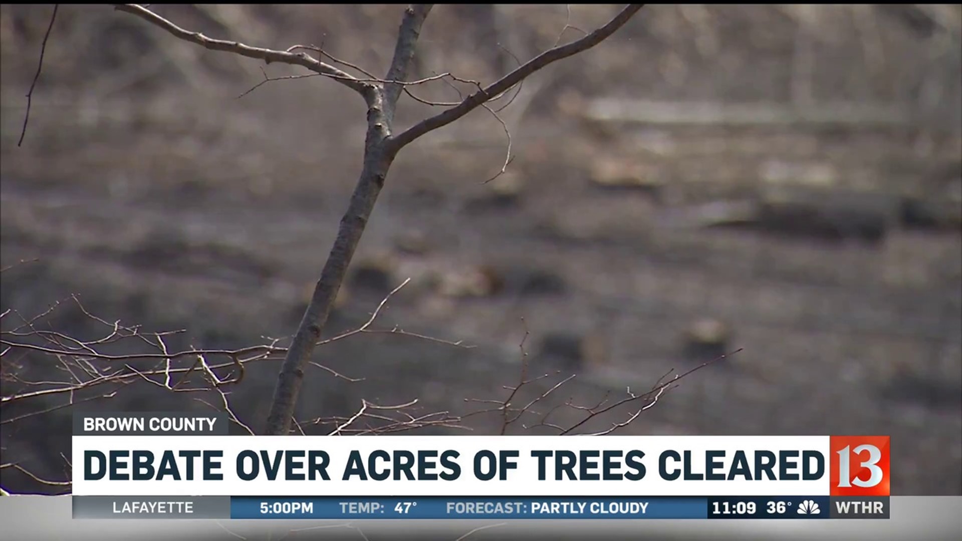 Debate Over Acres of Trees Cleared in Brown County