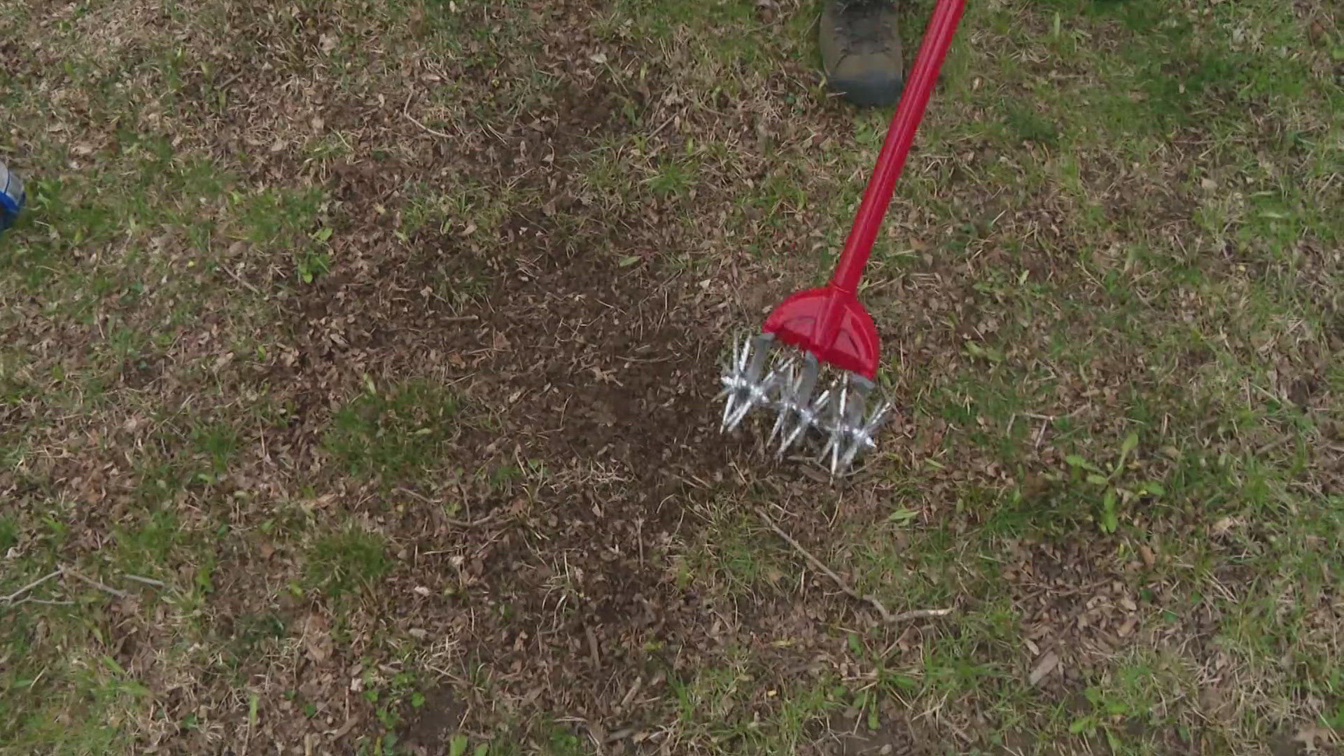 Pat Sullivan joined 13Sunrise to share his tips on planting grass seeds this spring.