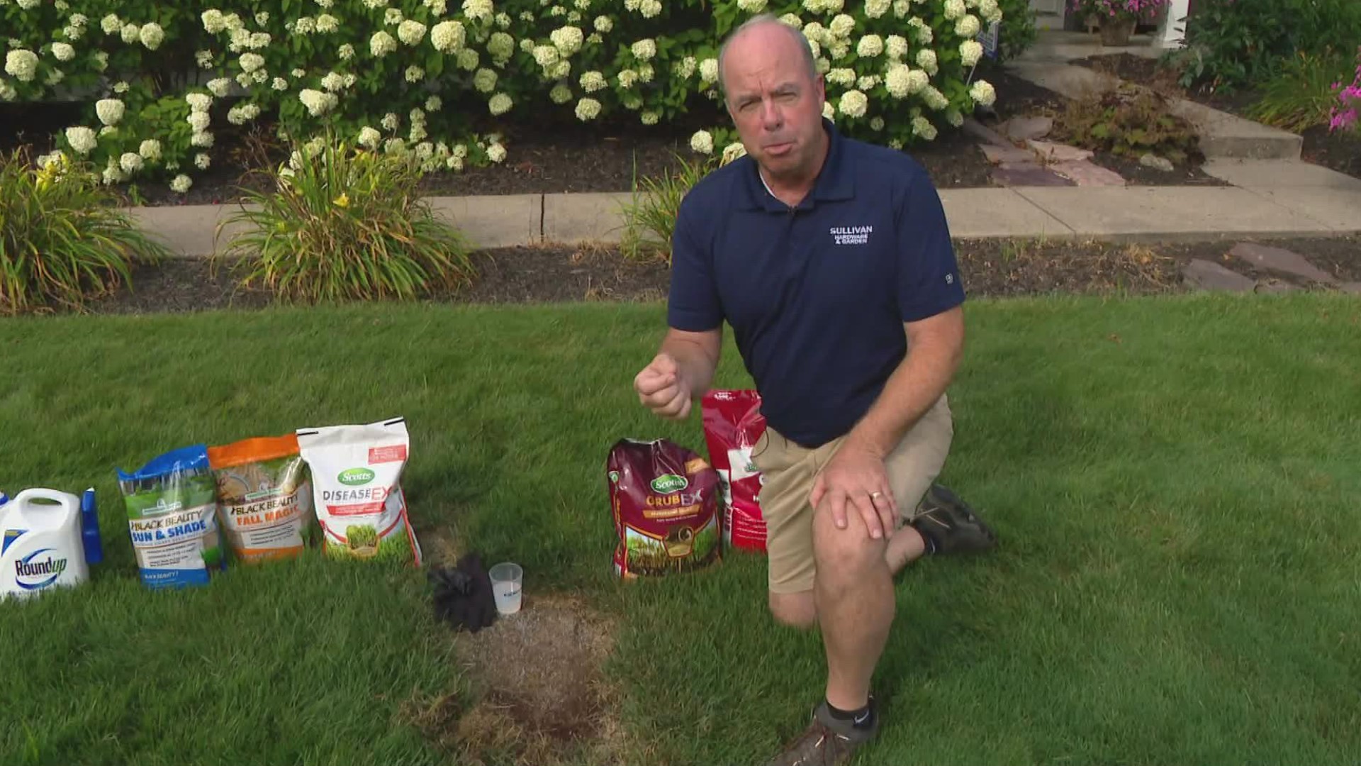 Pat says prep work for fall lawn care and putting down new grass seed begins now.