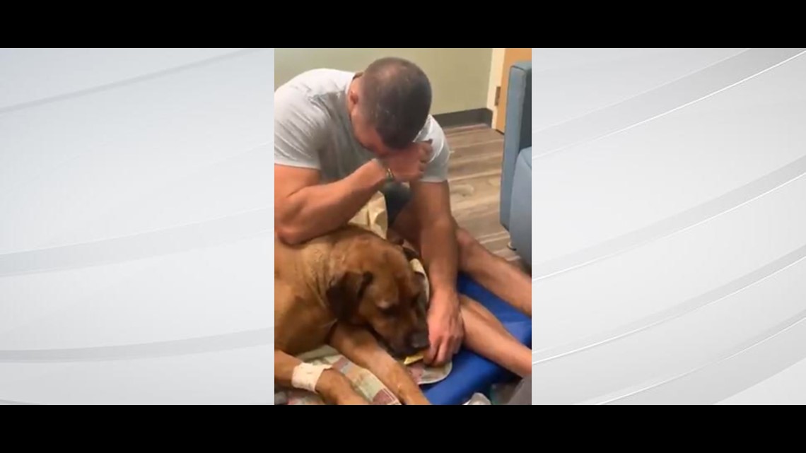 Tim Tebow shares his emotional goodbye to Bronco, his dog of 9