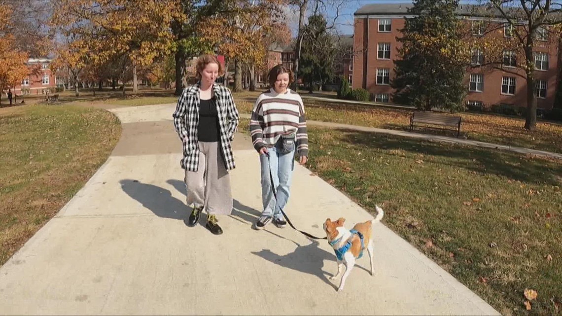 Emotional support animals on college campuses are more than pets