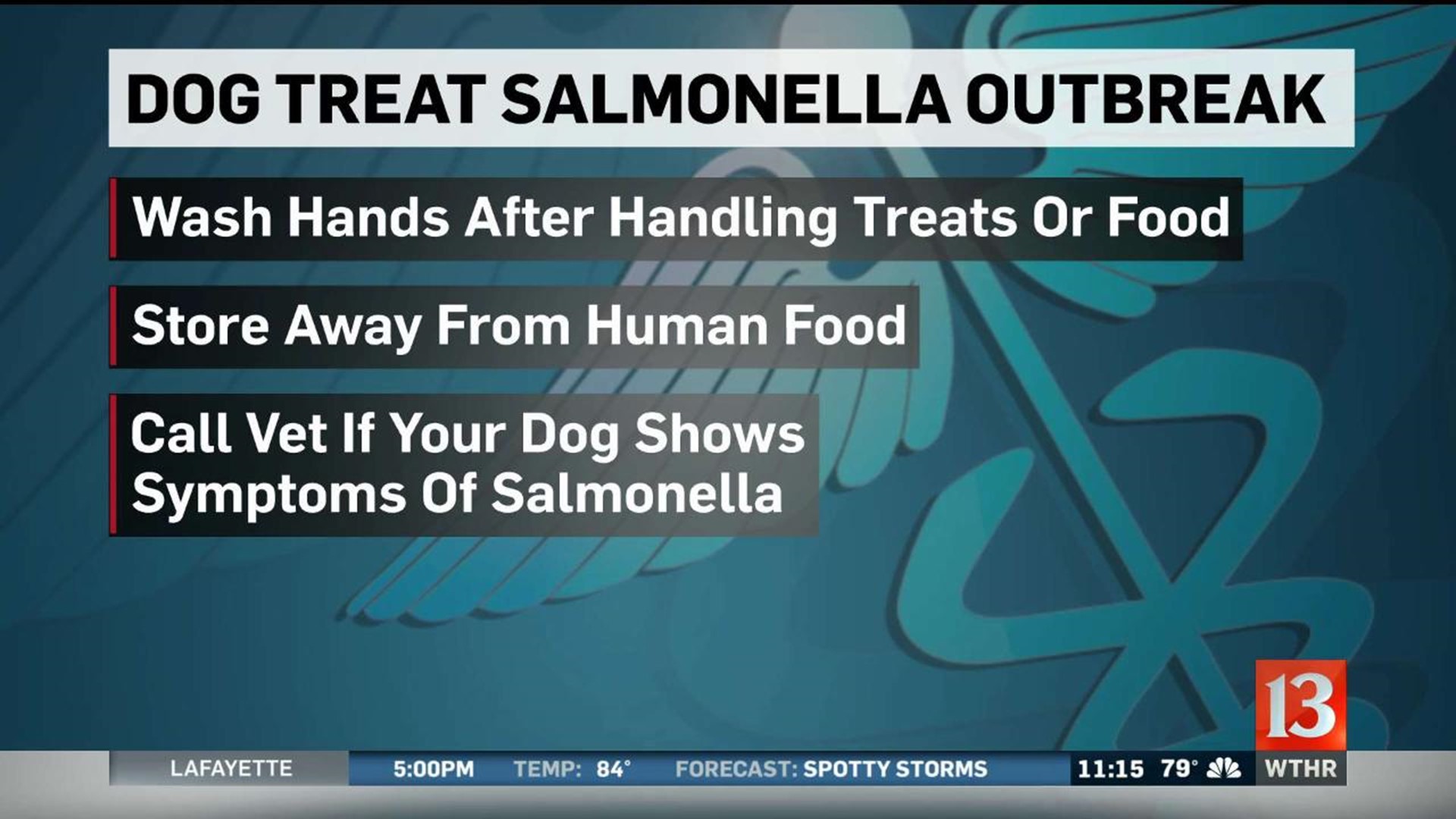 how is salmonella treated in dogs