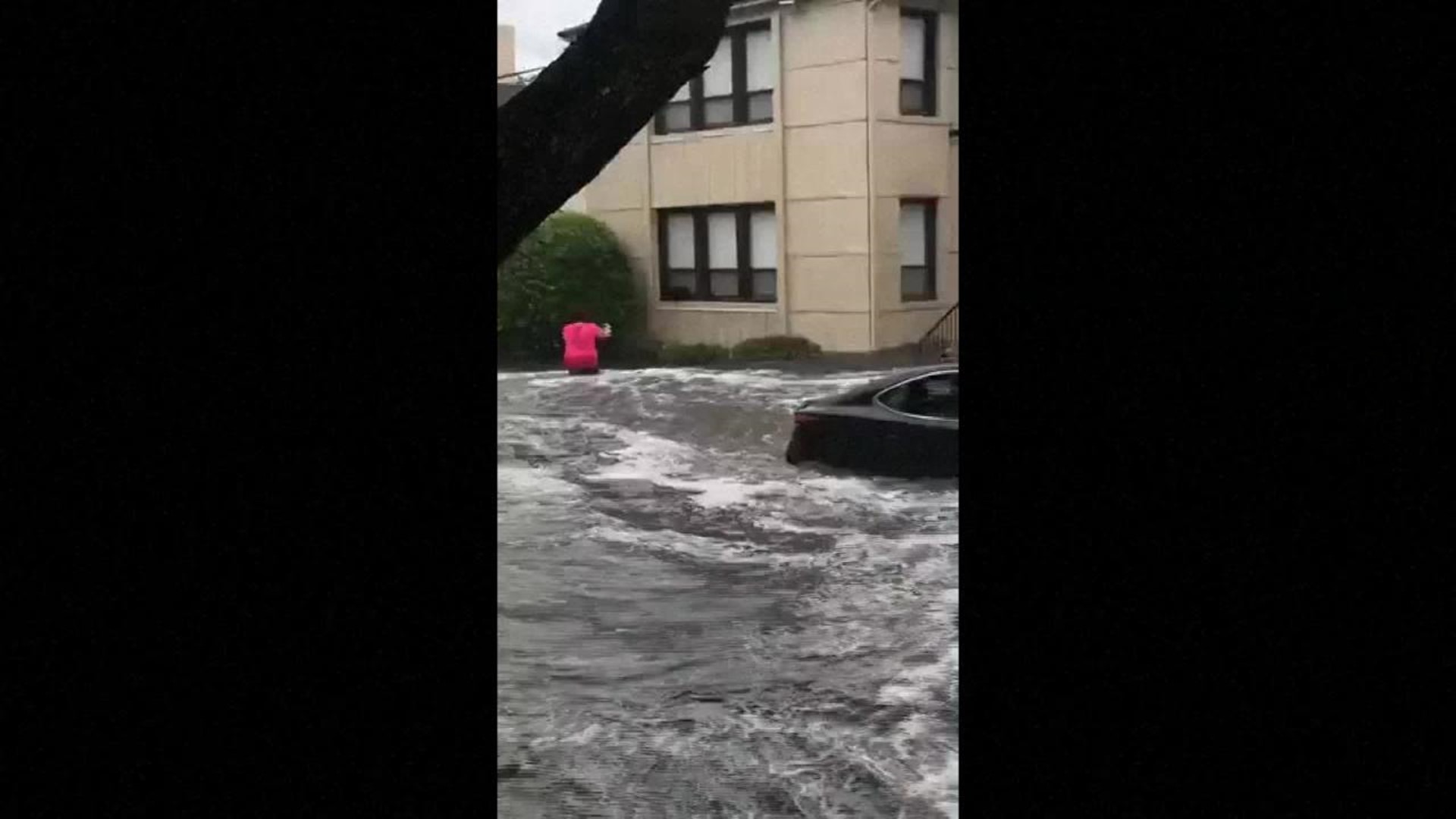 WATCH: Women rescue stranded cat from Jacksonville floodwaters | wthr.com