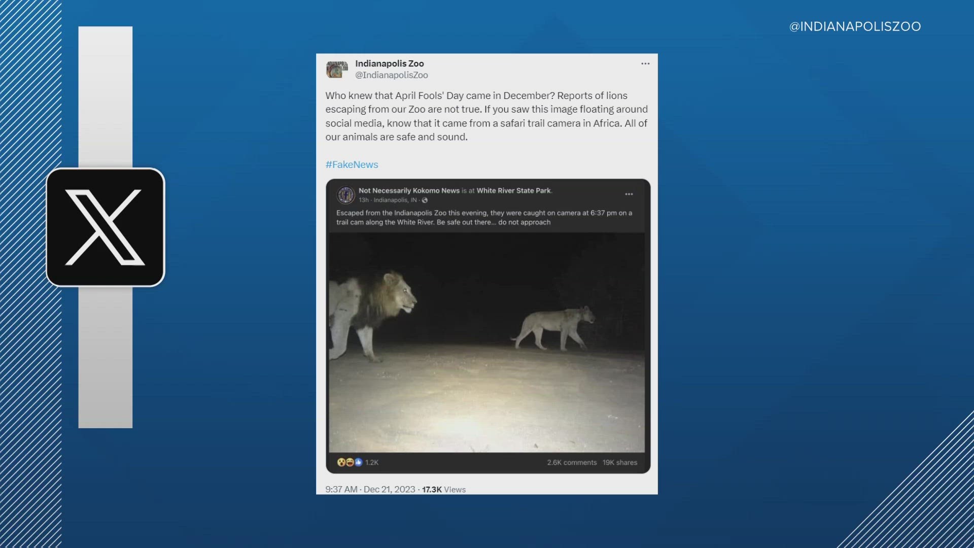 Indy Zoo refutes post about loose lions
