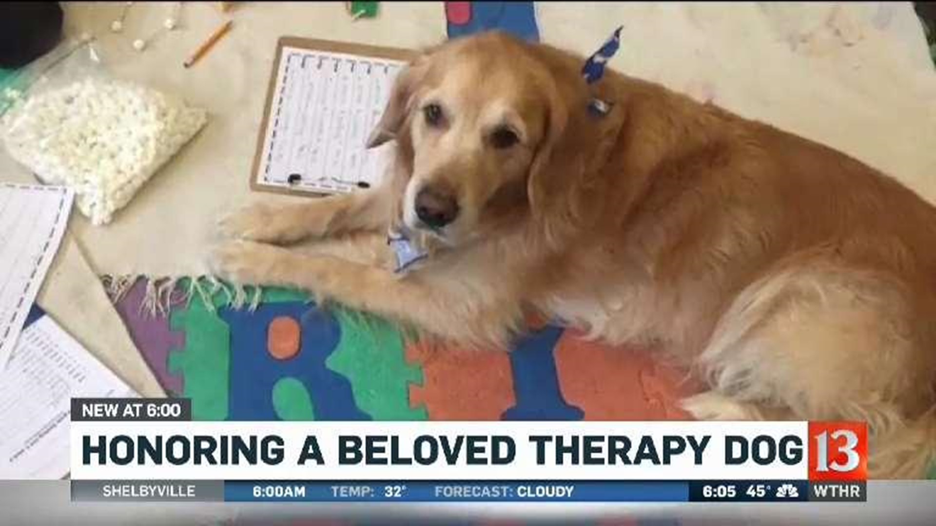 Beloved therapy dog passes