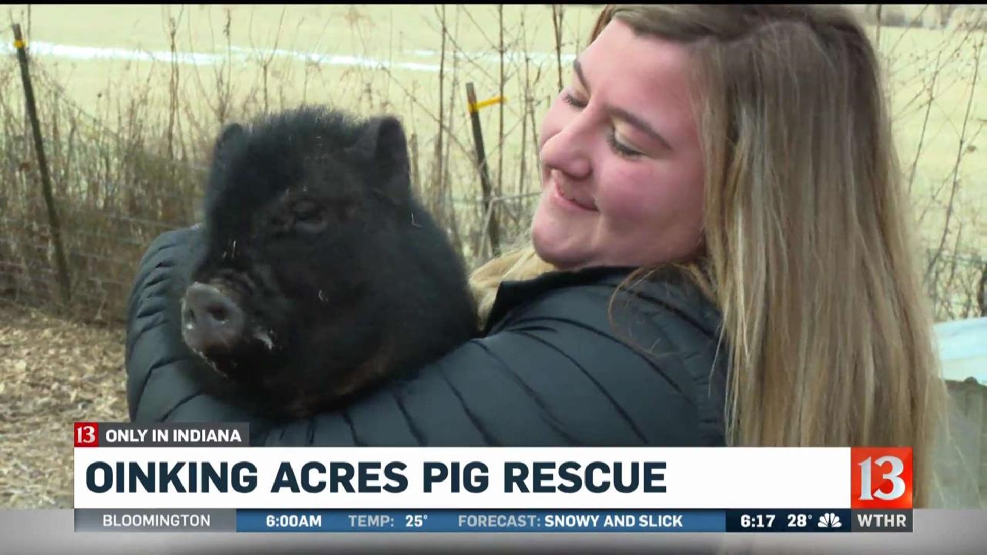 Oinking Acres Pig Rescue