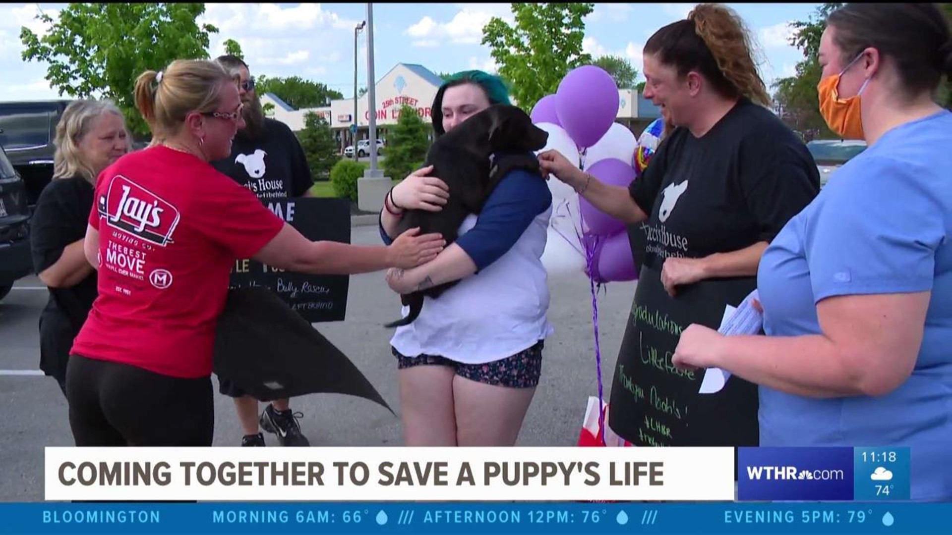 COMING TOGETHER TO SAVE PUPPY