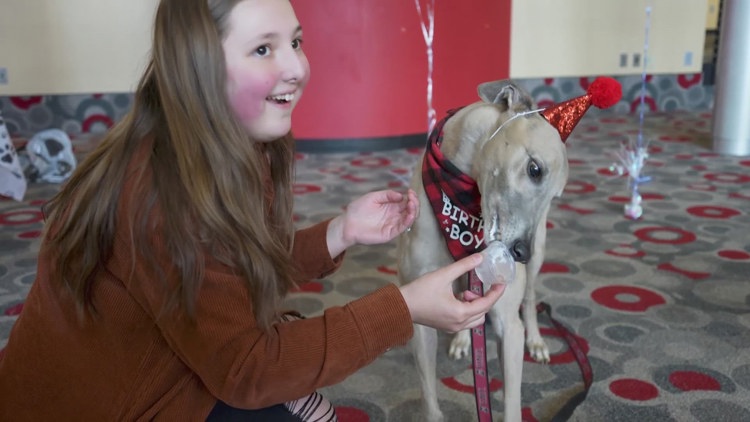 UIndy throws bash for mascot Grady’s 8th birthday