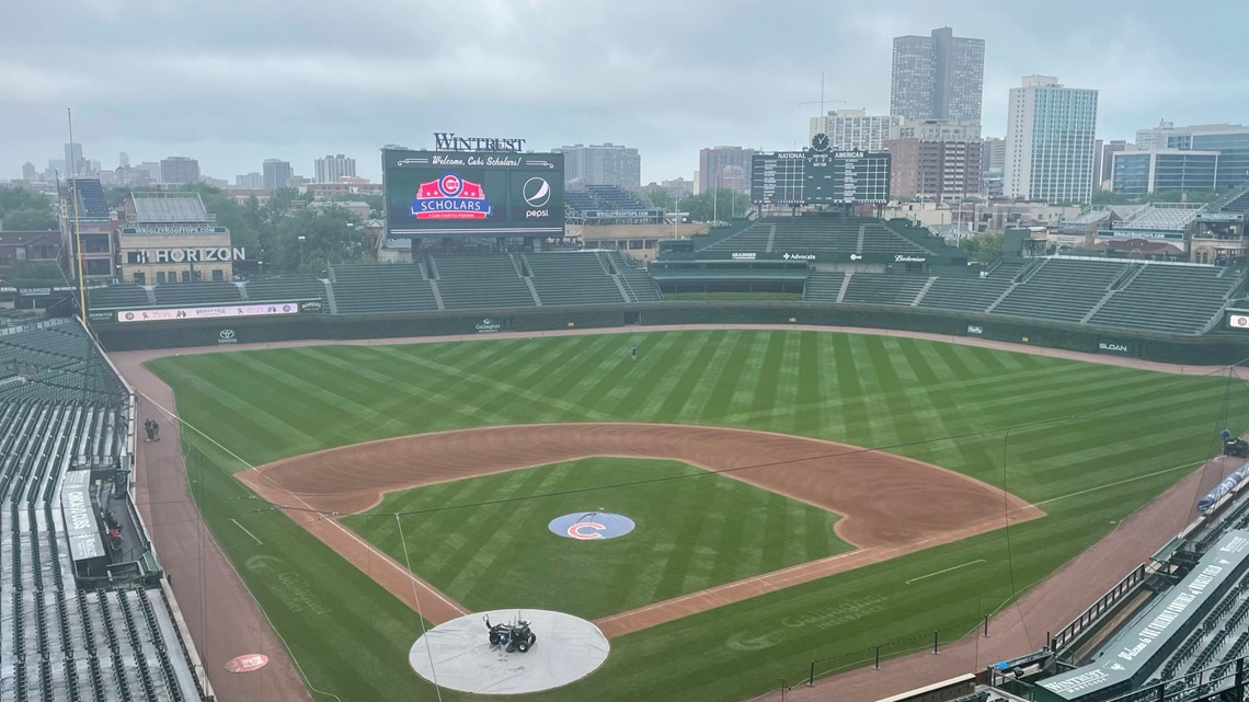 Chuck's Big Adventure: Wrigley Field Ivy