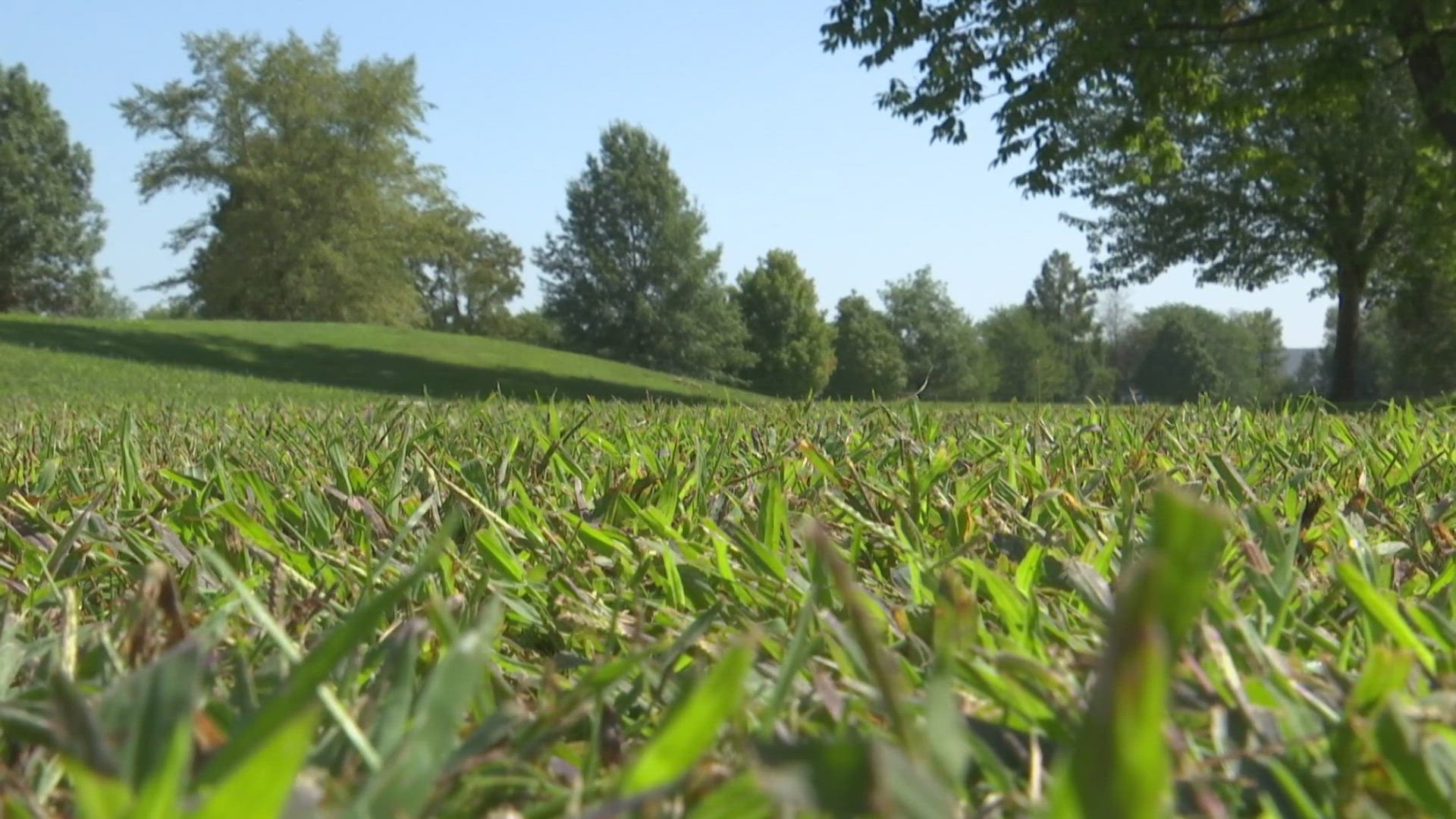 Investigators have finally identified a body that was found dead over 30 years ago in Greenwood.