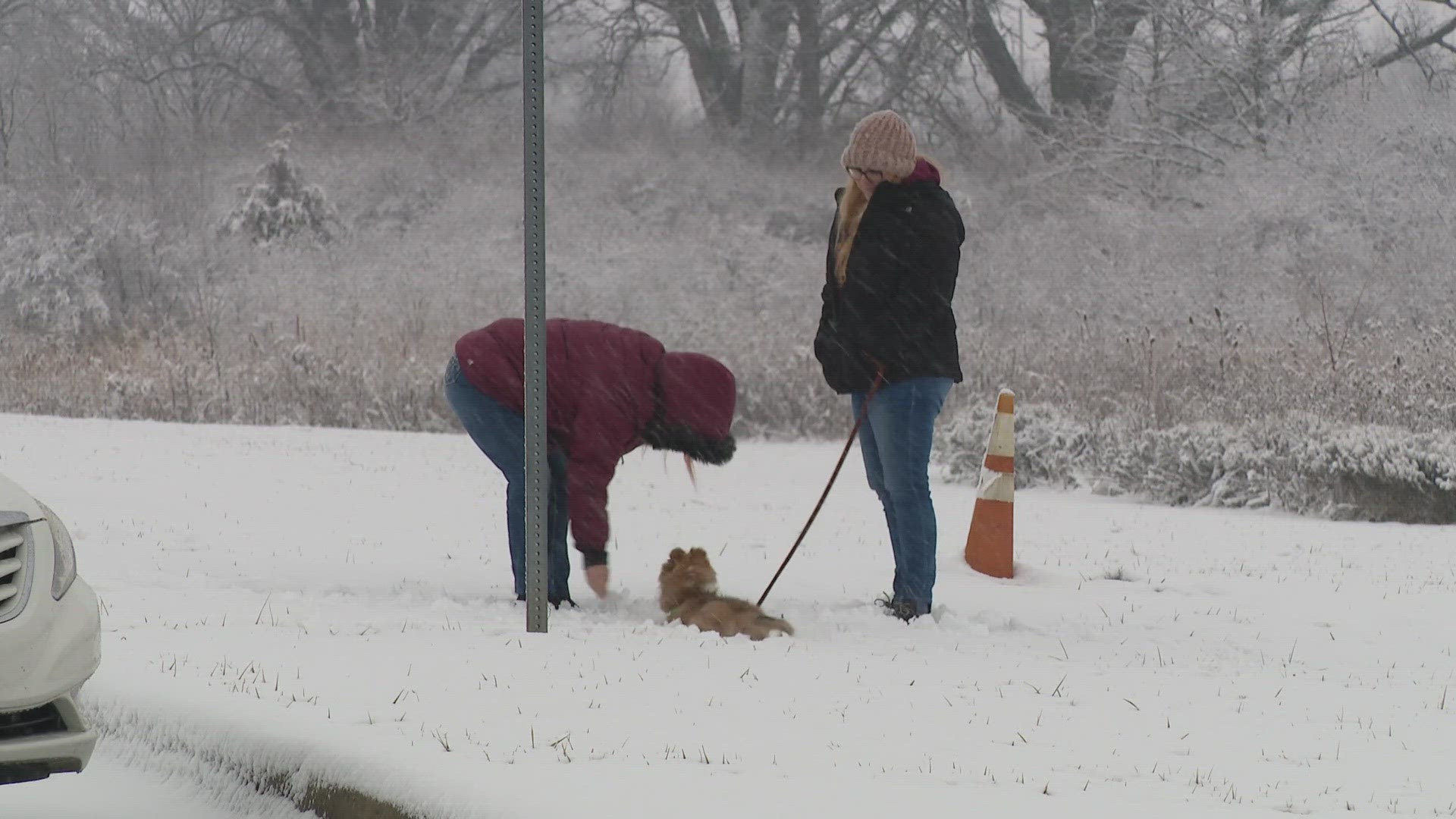13News reporter Anna Chalker talks with experts on how they can keep their pets safe in the winter.