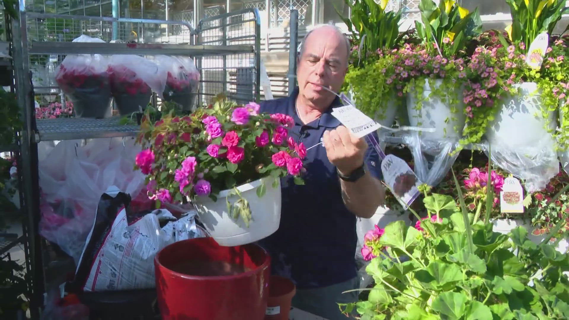 Pat Sullivan has some ideas for your Mother's Day shopping!