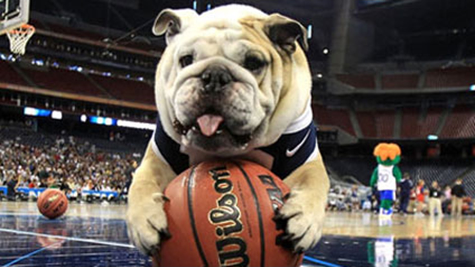 Butler Mascot Blue II Dies | Wthr.com