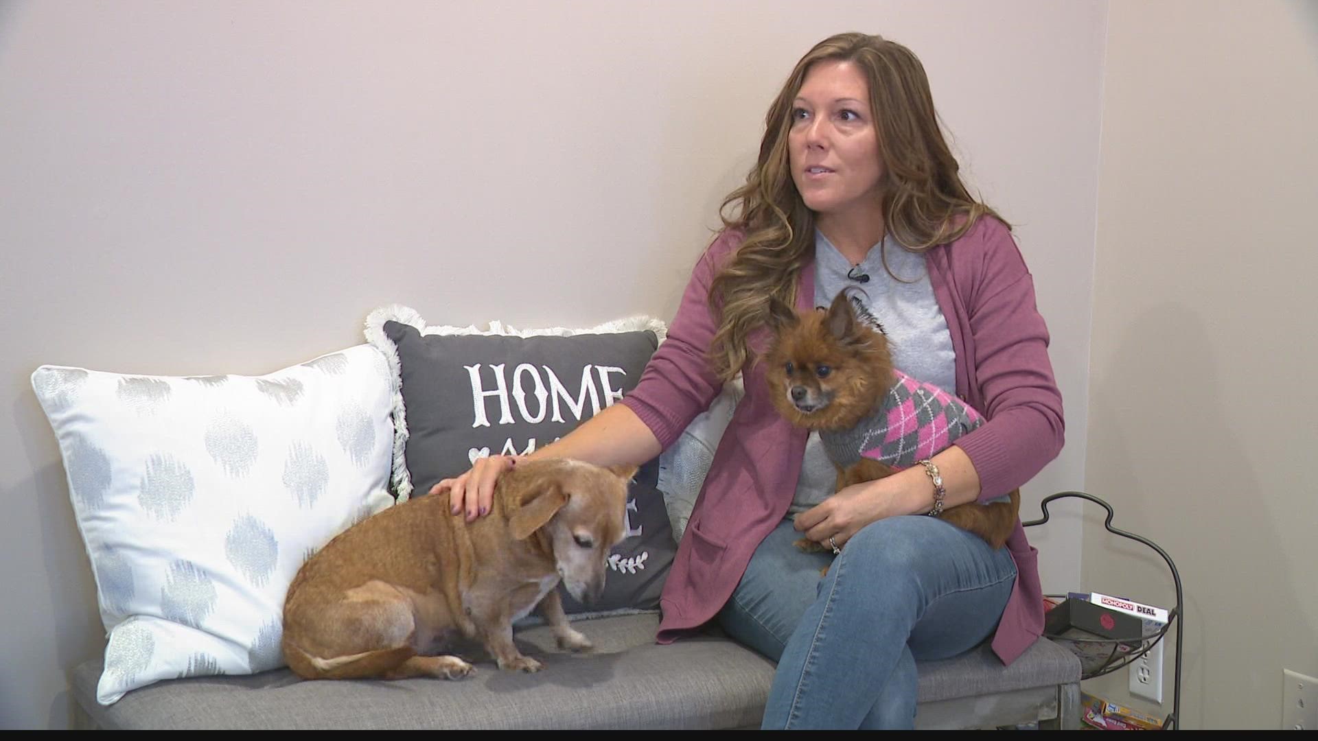 Viral Pitbull mom tells about the importance of fostering dogs