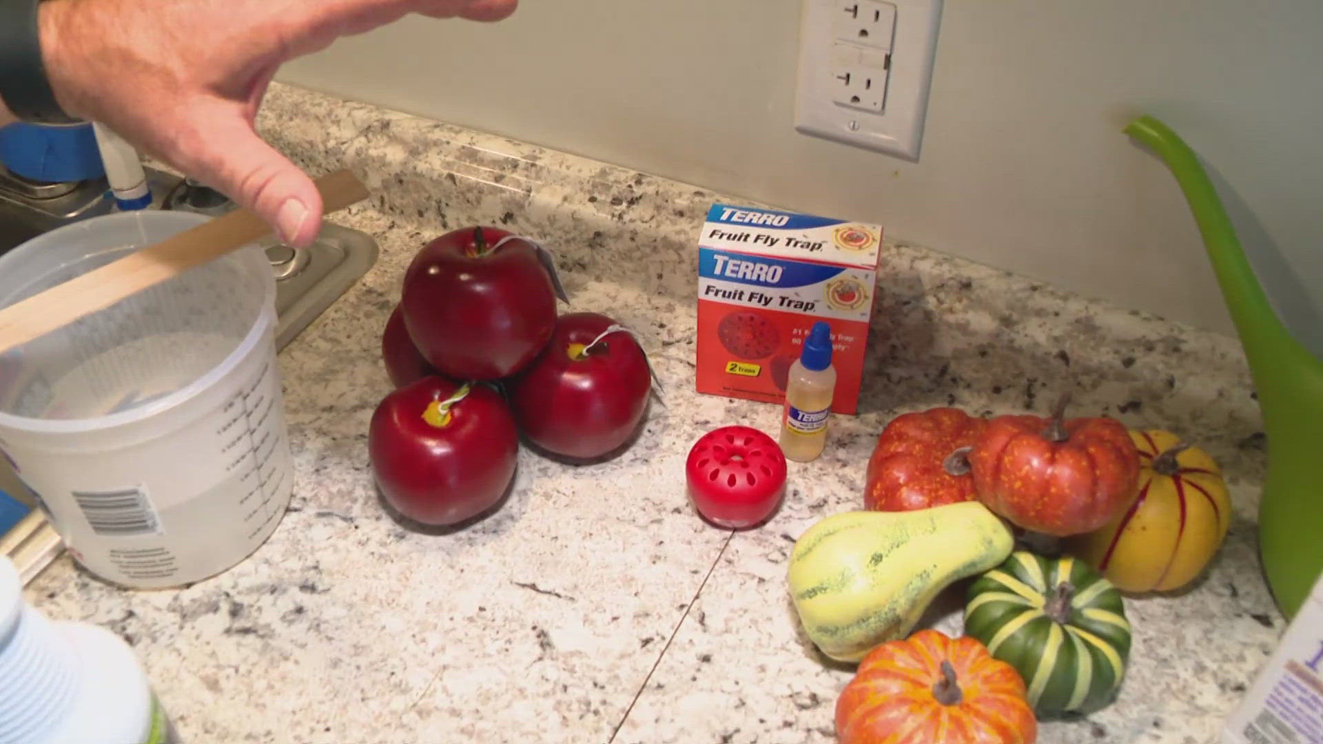 Pat Sullivan has tips on how to keep those pesky fruit flies away from your kitchen plus more fall home improvement tips!