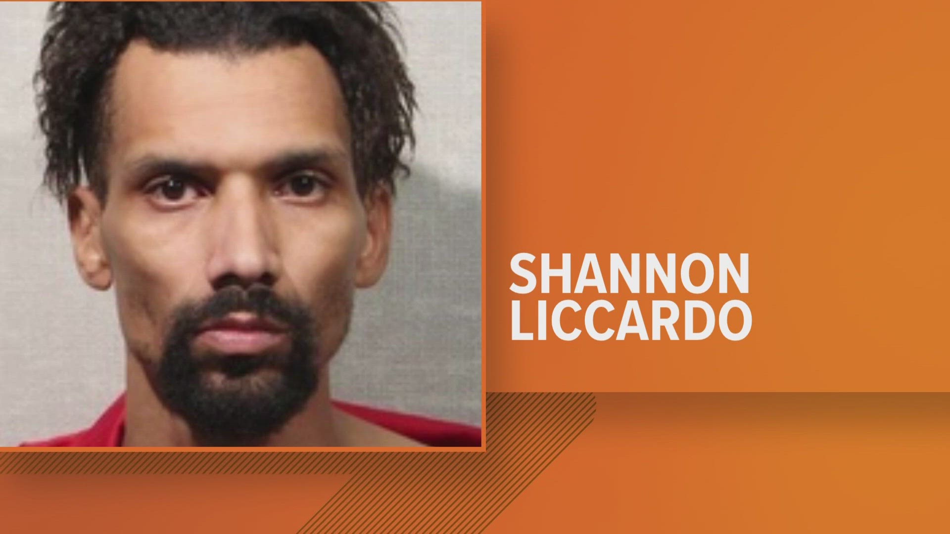 Shannon W. Liccardo, 34, is being held in the Jackson County Jail pending extradition back to Ohio.