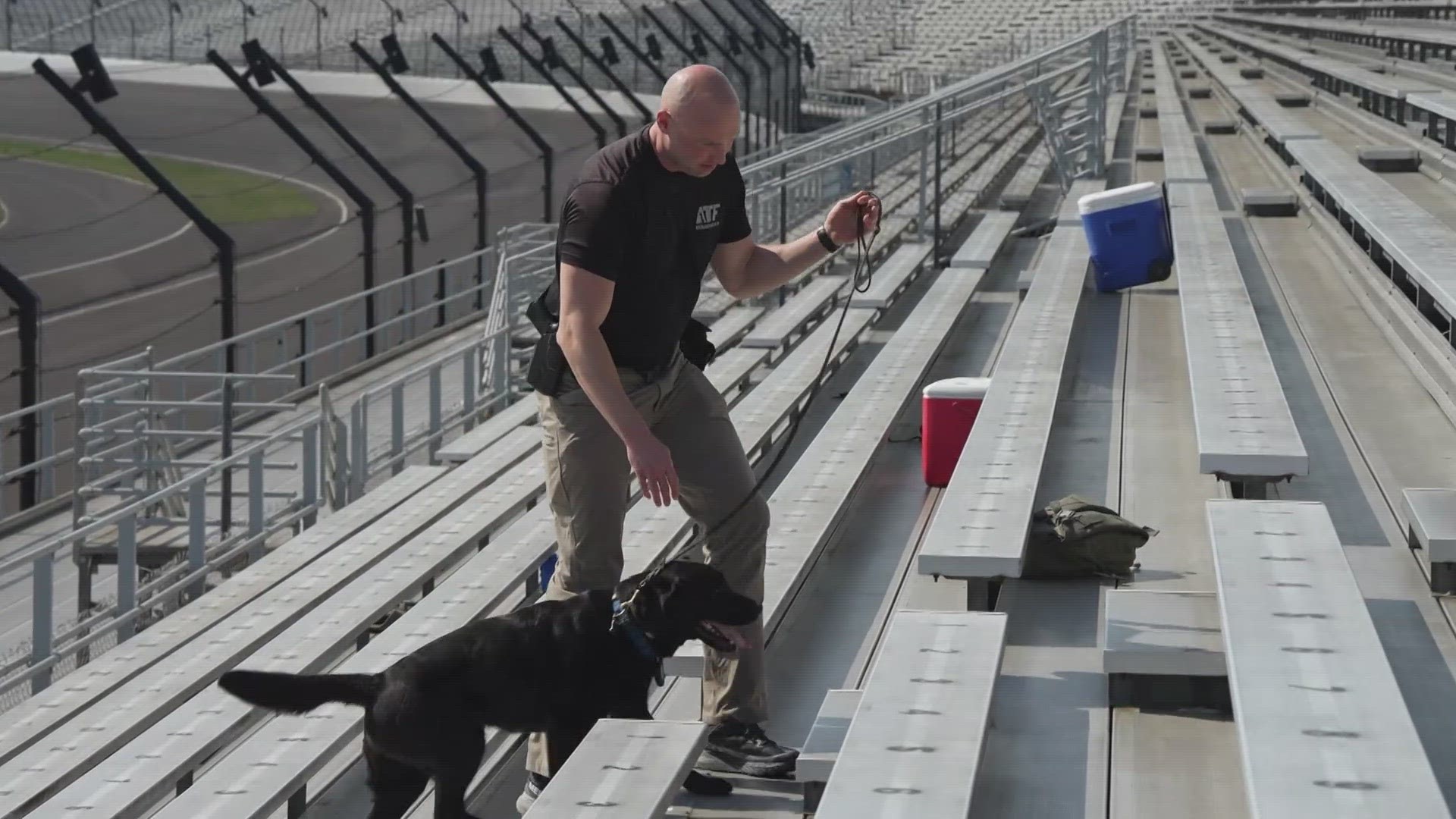 The canines go through various types of training scenarios like the Boston marathon bombing.