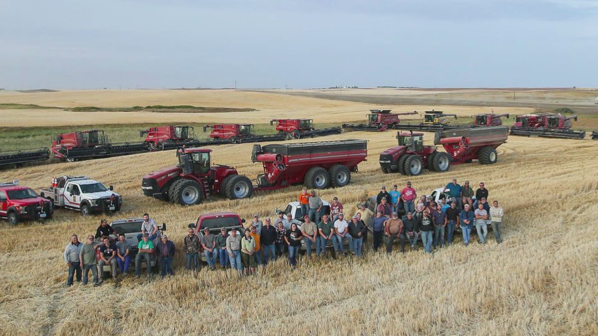 About 60 farmers from across the county spent seven hours harvesting wheat and canola on Lane Unhjem's land.
