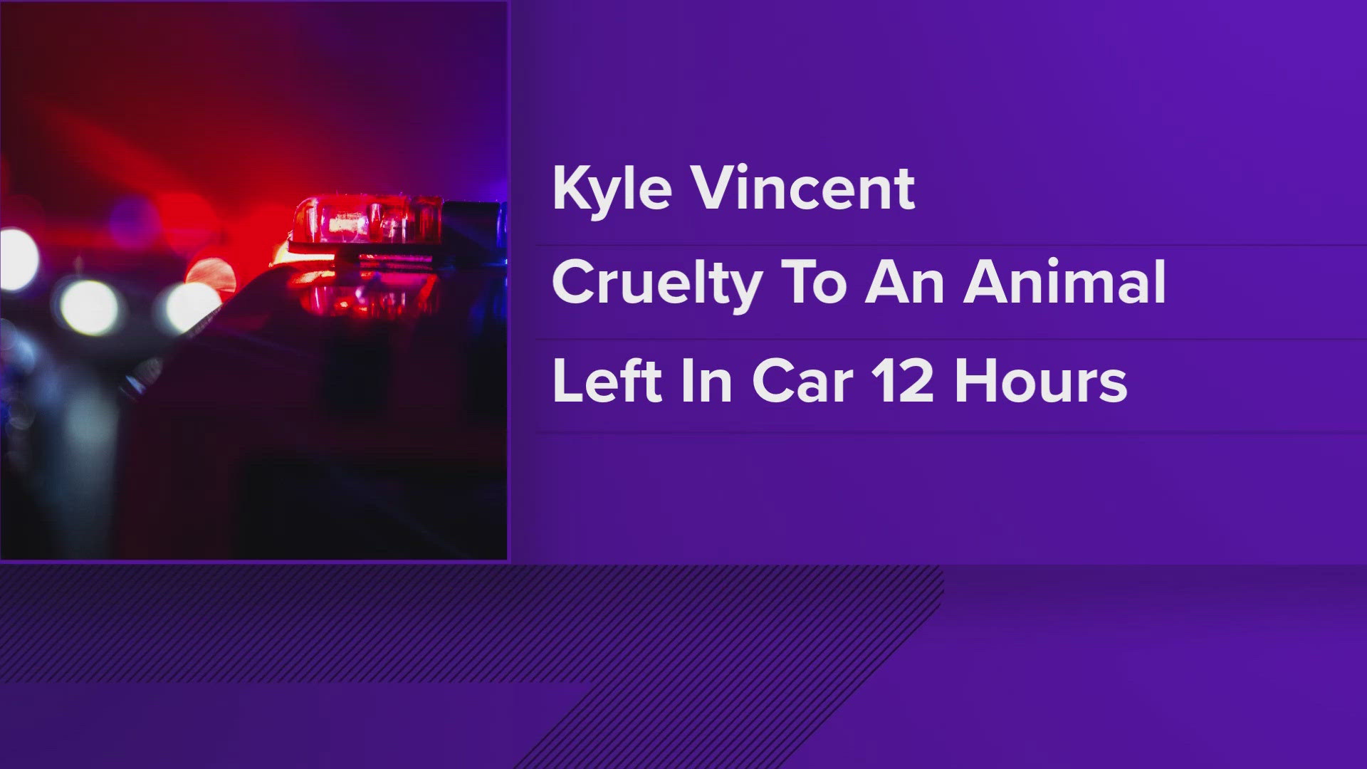 Court documents say Kyle Vincent gave conflicting stories before admitting he left K-9 Officer Zeus in his patrol car kennel for 12 hours.