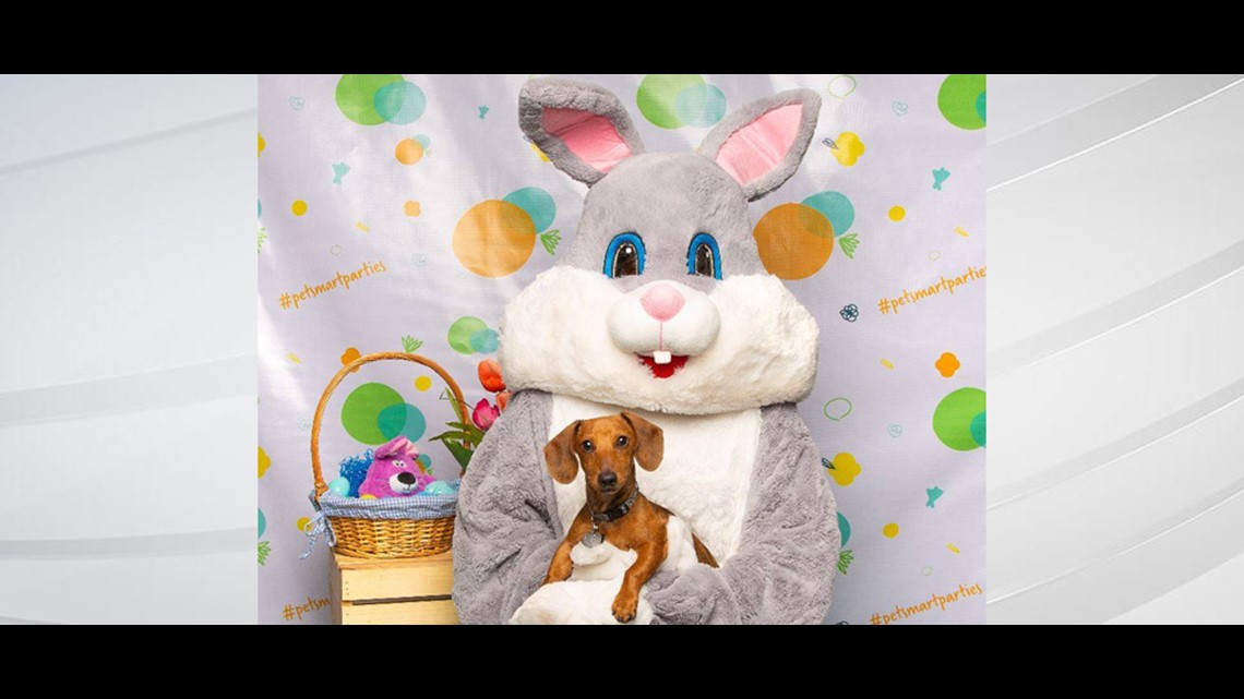 PetSmart offering free Easter photos