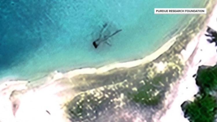 Amelia Earhart expedition crew finds 'no conclusive evidence' during search for plane wreckage